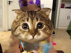 -元祖食品GANSO(常州新北区店)