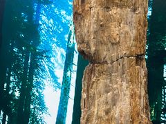 -延庆地质公园博物馆