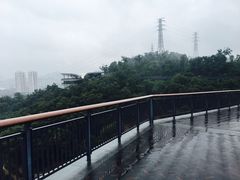 -金鸡山公园