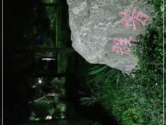 -黄村公园