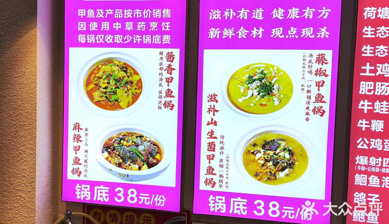 冬季进补的甲鱼锅吃一个～