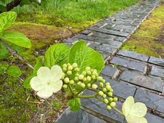 -白塘生态植物园