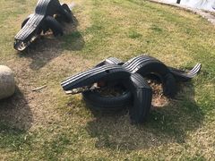 -前小桔亲子创意农场·草莓采摘·露营烧烤