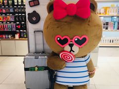 -line friends(明洞旗舰店)