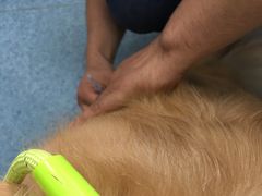 -北京赛佳动物医院