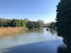 -溱湖国家湿地公园