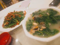 上汤桑叶-姚林轩