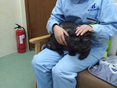 -康乐宝动物医院