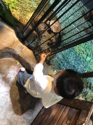 -酷嗒动物文化乐园(cutezoo西溪乐天城店)