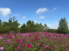 -鄂尔多斯野生动物园