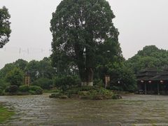 -韩湘水博园