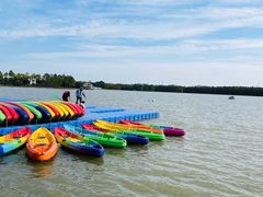 -上海海湾国家森林公园