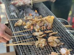 -芦仙山景区-飞越丛林探险乐园