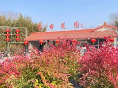 -丰台花园