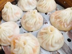 -莱莱小笼·乔艾