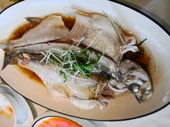 白条鱼-春暖花开(西溪店)
