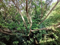 -人民公园(罗湖区)