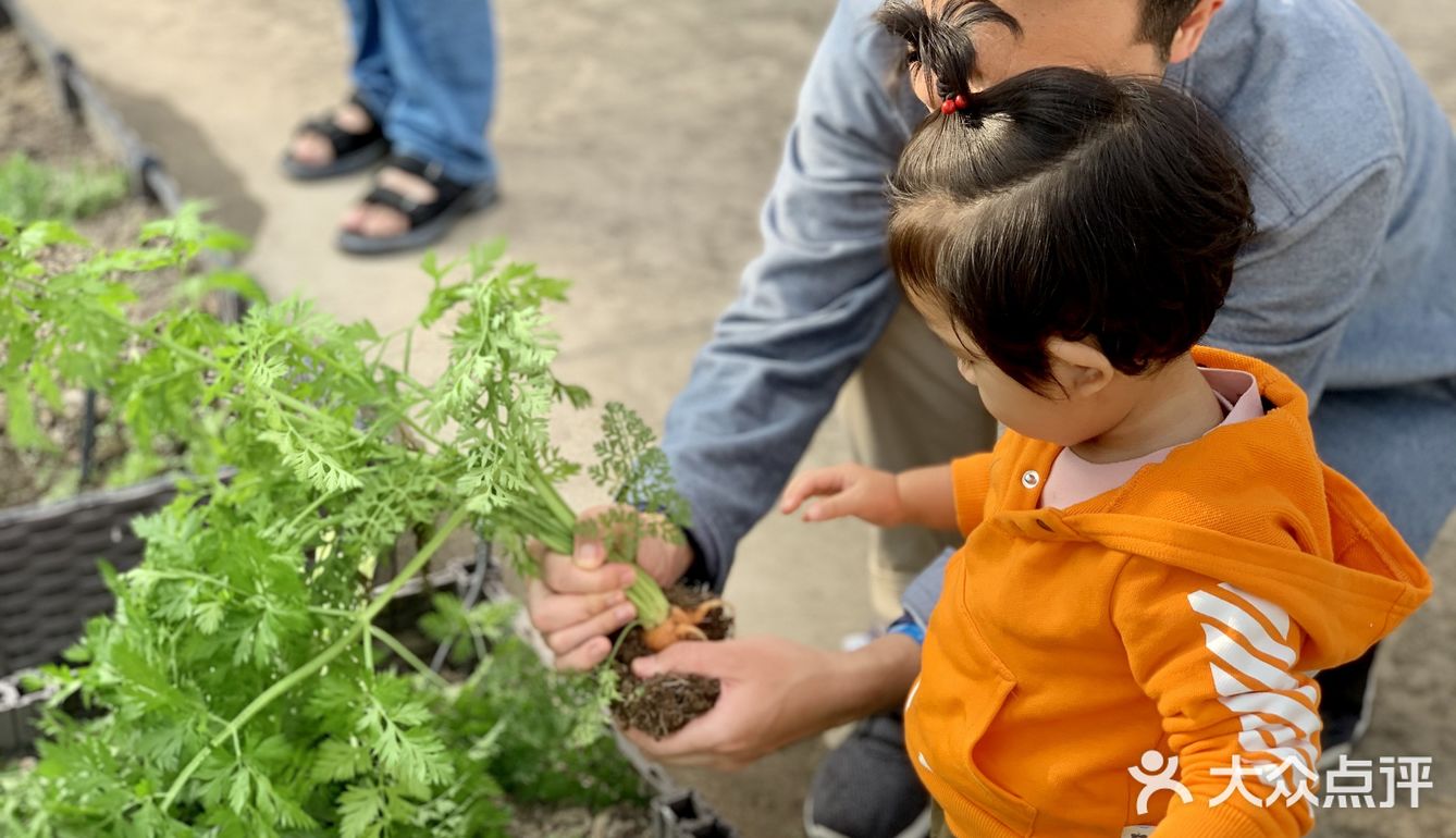 六一去哪里！深圳首家屋顶动植物乐园[加油][加油]