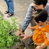 六一去哪里！深圳首家屋顶动植物乐园[加油][加油]