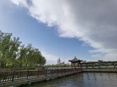 -莲花池公园