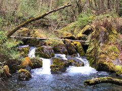 -叠溪松坪沟景区
