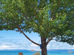 -青海湖国家重点风景名胜区