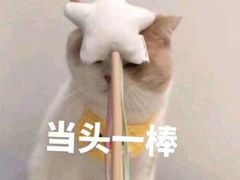 -壹盏灯(惠农店)