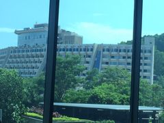 -希尔顿南海酒店·观廊大堂吧·海景下午茶