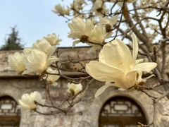 -于家石头村景区