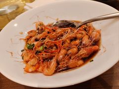 -乔家栅(襄阳南路店)