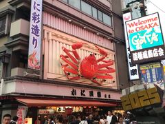 -蟹道乐(道顿堀本店)