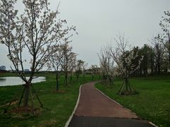 -苏州湾体育公园
