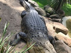 -费瑟代尔野生动物园