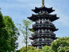 -洋湖国家湿地公园