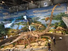 -自贡恐龙博物馆