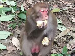 iphone_upload_pic-广西龙虎山风景区