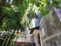 -东梓关景区村庄