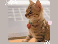 -么么咖啡(燕郊店)