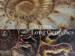 -青岛贝壳博物馆