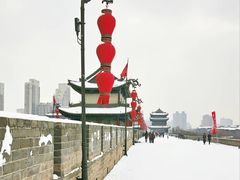 -西安碑林博物馆