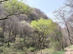 -抱龙峪