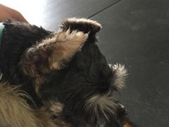 -炼健身私教工作室