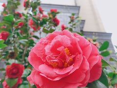 -欢乐海岸