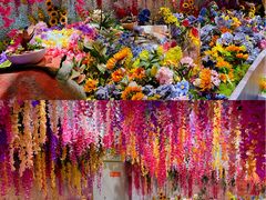 -正佳自然科学博物馆