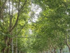 -成都工业学院(郫都校区)
