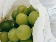 -马陆小张葡萄园农家乐