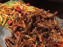 -云海肴·汽锅鸡·云南菜(天山百盛优客店)