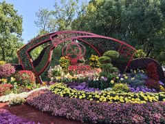 -上海共青森林公园