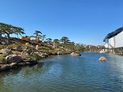 -罗红摄影艺术馆