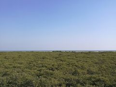 -北海金海湾红树林生态旅游区